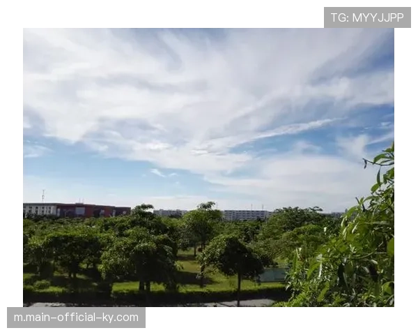 巴西队最后八个席位生死竞逐 五月前俱乐部表现成决定性因素